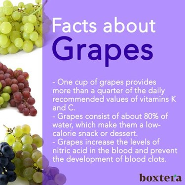 facts about grapes 