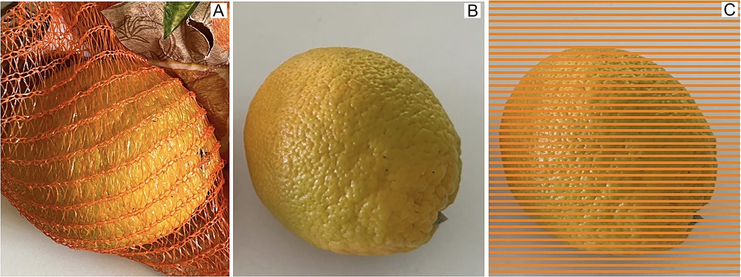 An image highlighting the deceptive oranges of Gegenfurtner.