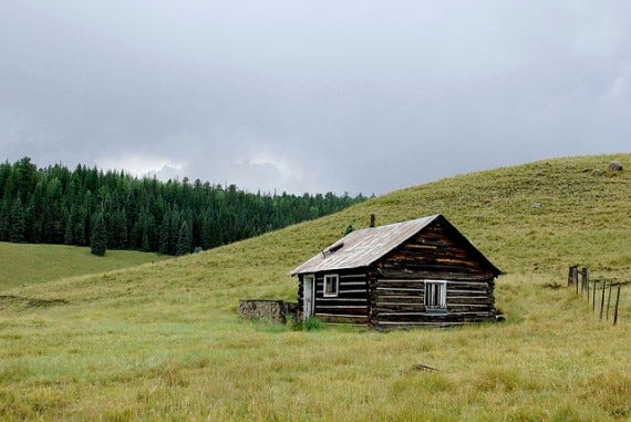 Cabin in Woods