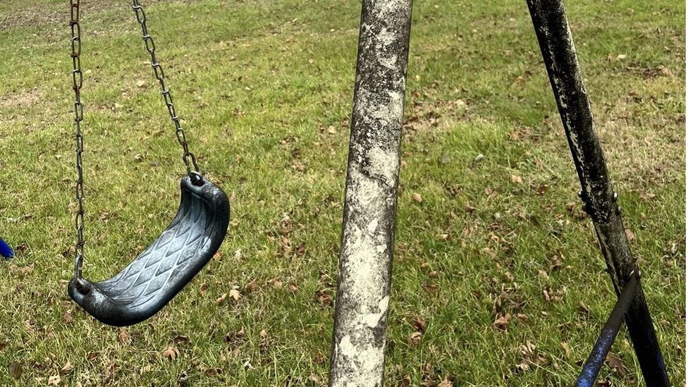 The fungus seen growing on a swing set