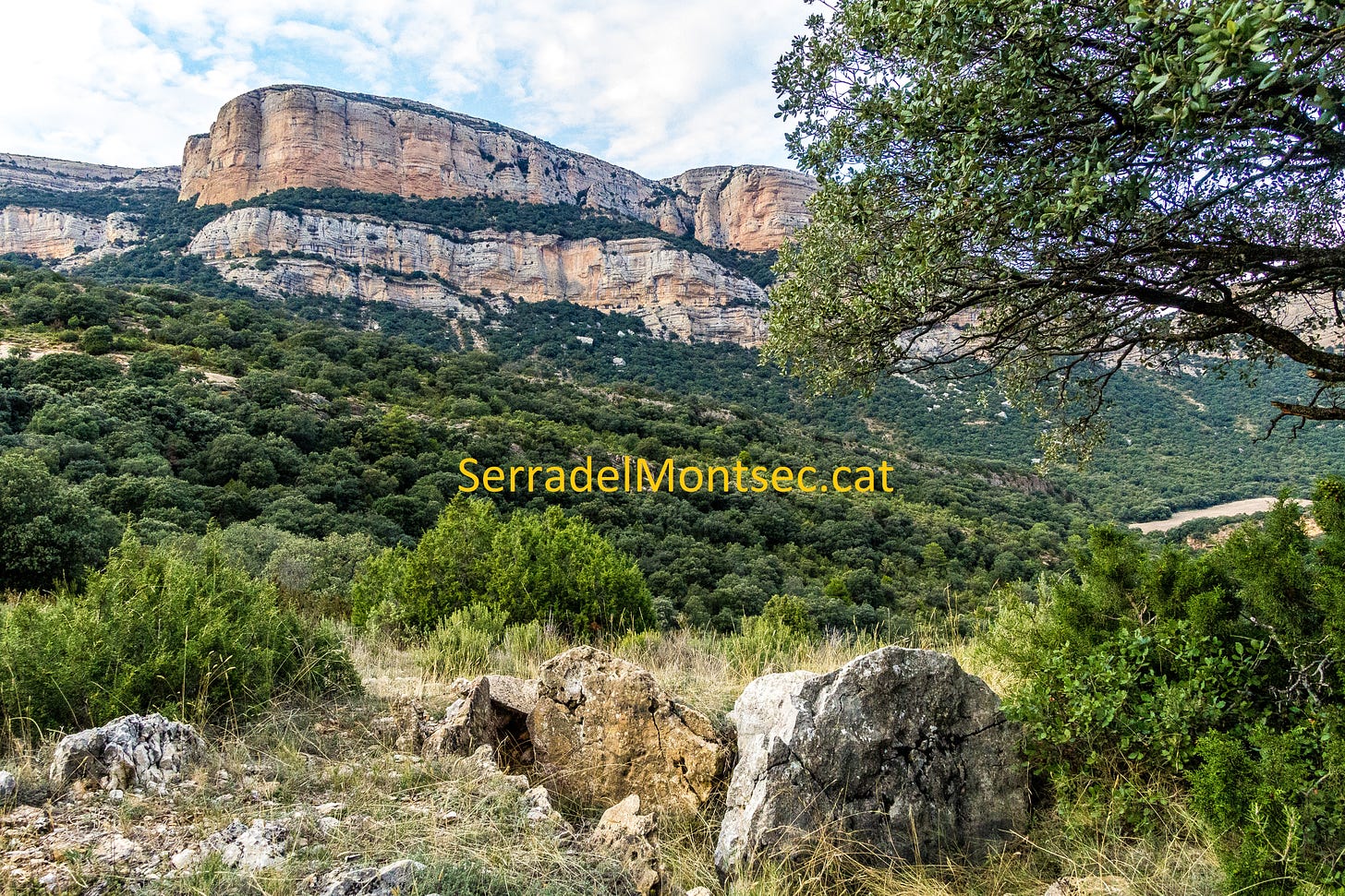 En primer pla, el Dolmen de Sòl Joaquim, amb els imponents espadats del Montsec de Rúbies (també conegut com el Montsec de Meià) al fons. Vilanova de Meià, a la comarca de la Noguera, Lleida, Catalunya.