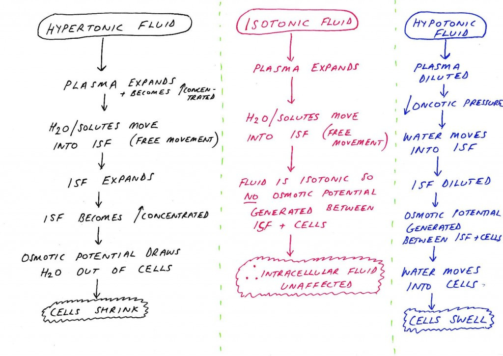 Ingesting different fluids diagram-page-001