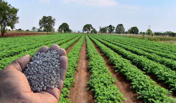 Phosphate Fertilizer Stock Photos, Pictures & Royalty-Free Images - iStock