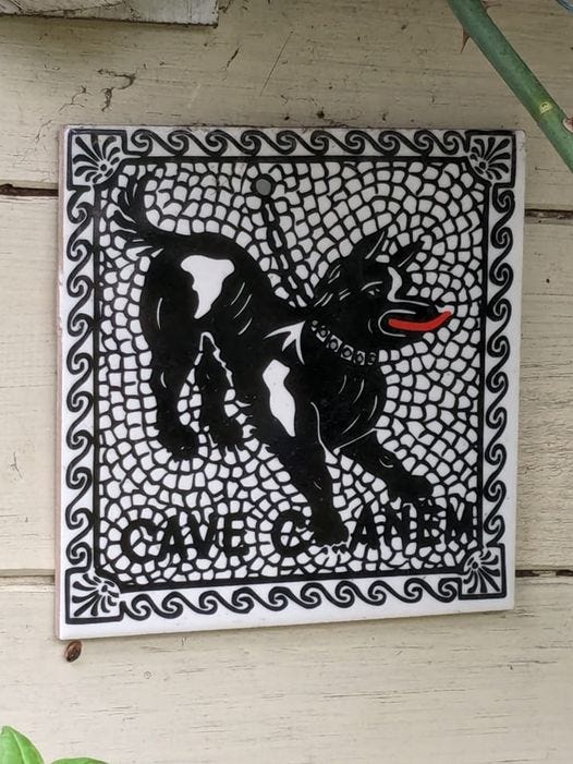 Mosaic tile of black dog caption reads Cave Canem - roughly meaning beware of dog.