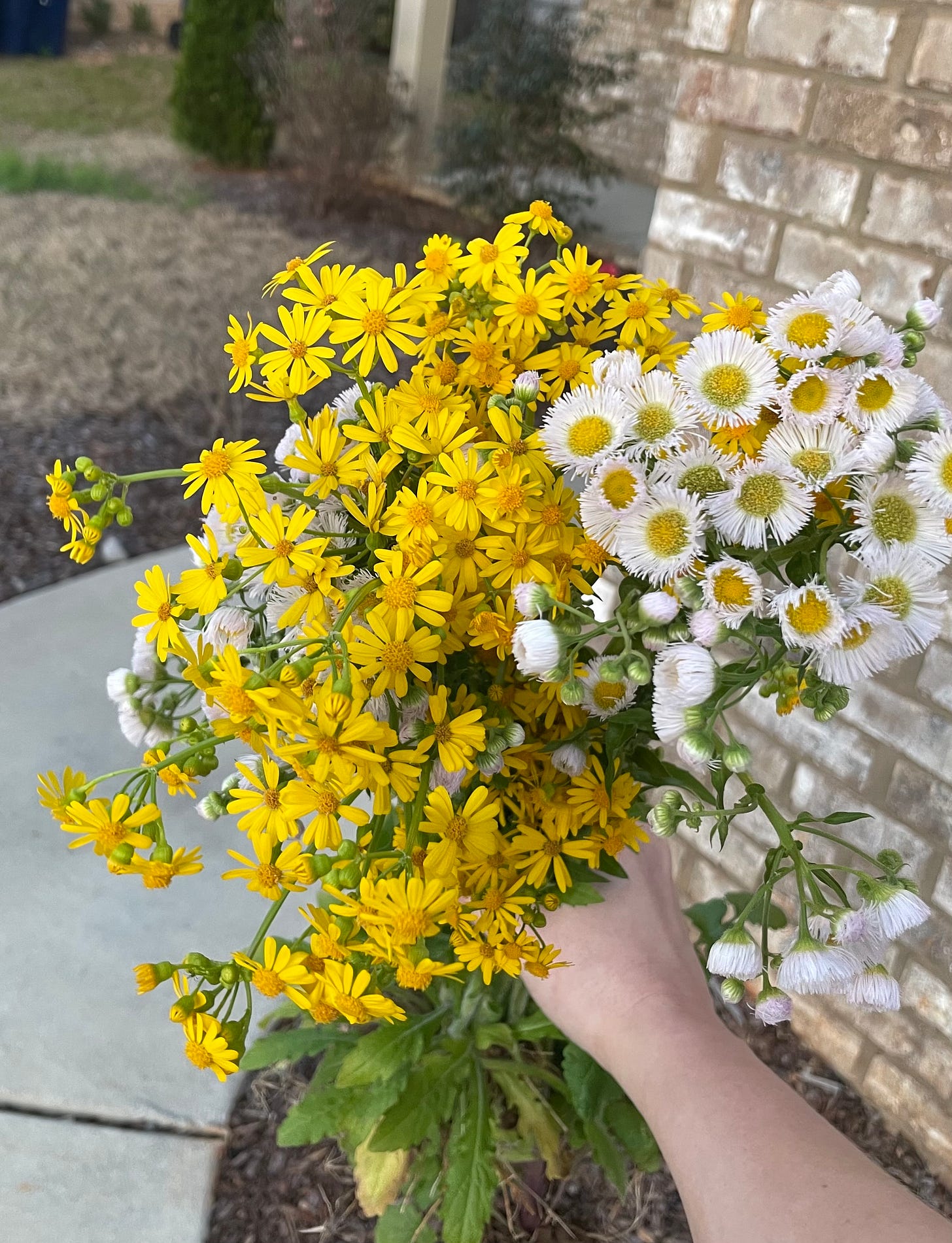 Photo of a hand extended, holding a bouquet of flowers