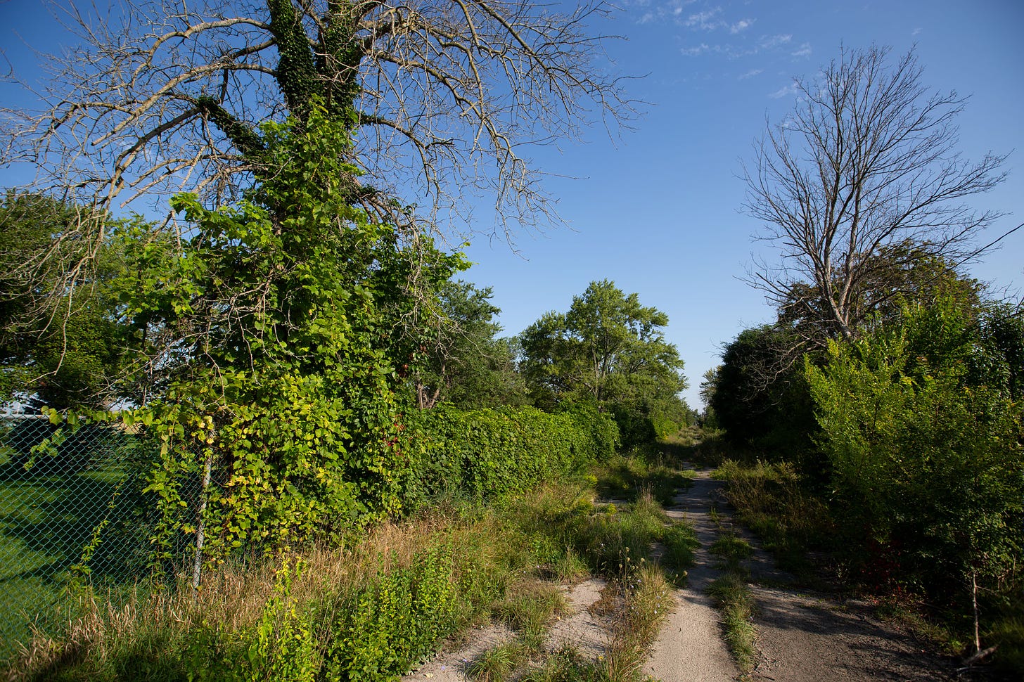 The Love Canal neighborhood as it looked in September 2023. Photo by Eric F. Coppolino / Chiron Return