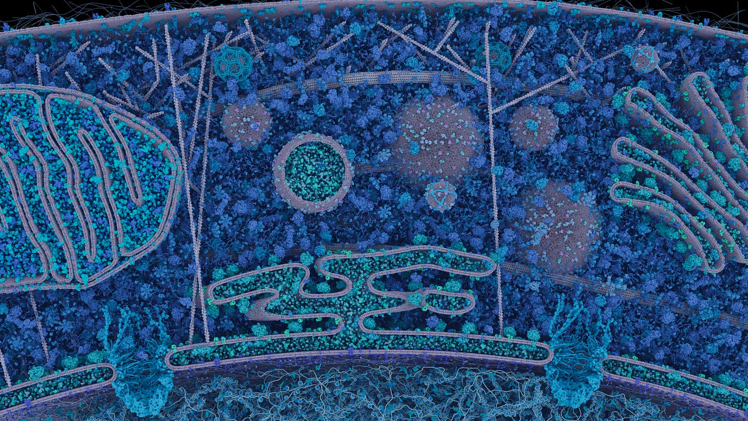 Eukaryotic cell landscape highlighting individual proteins and lipid compartments, all in shades of blue