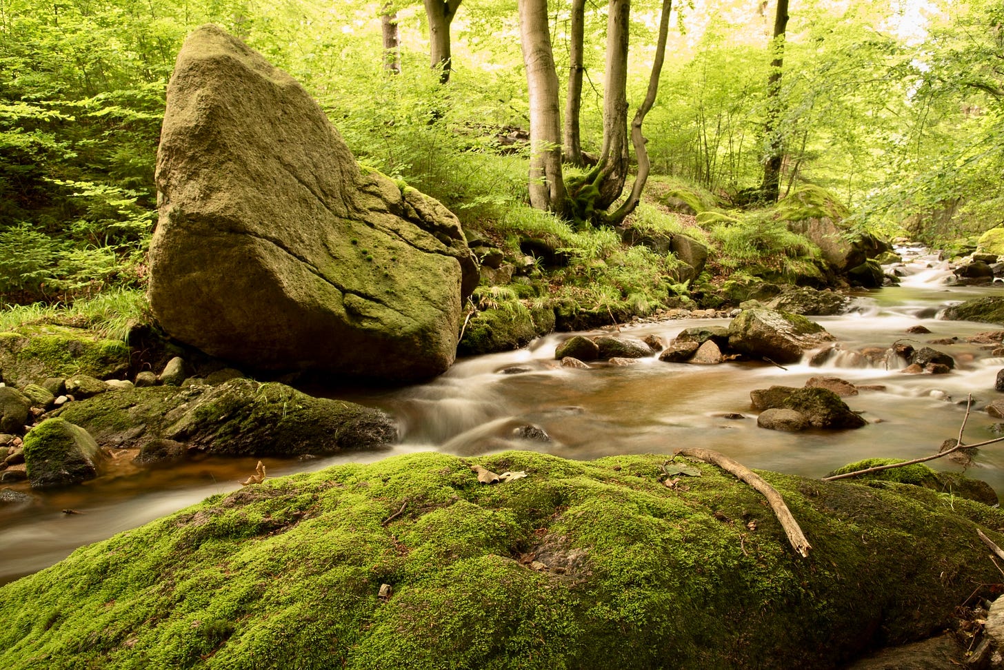 **Caption:** "As the river flows through varied landscapes, it shapes the stones in its path—just as we shape our stories by embracing life’s challenges and moving with its natural current." **ALT Text:** A serene stream flowing through the Valley of the Ilse in the Eastern Harz Mountains, with moss-covered rocks and lush green trees lining the banks, symbolizing the flow of life and the narratives we choose to create. Photo Credit Jay Siegmann **Caption:** "As the river flows through varied landscapes, it shapes the stones in its path—just as we shape our stories by embracing life’s challenges and moving with its natural current." **ALT Text:** A serene stream flowing through the Valley of the Ilse in the Eastern Harz Mountains, with moss-covered rocks and lush green trees lining the banks, symbolizing the flow of life and the narratives we choose to create. Photo Credit Jay Siegmann