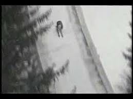 Image result for vinko bogataj Image result for vinko bogataj