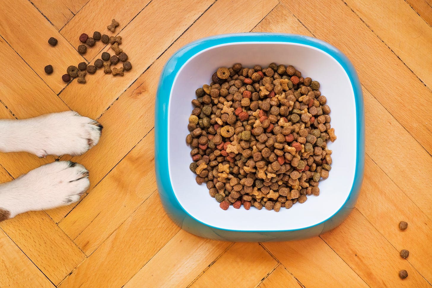 6.35 Million Midwestern Pet Foods® Class Action Settlement