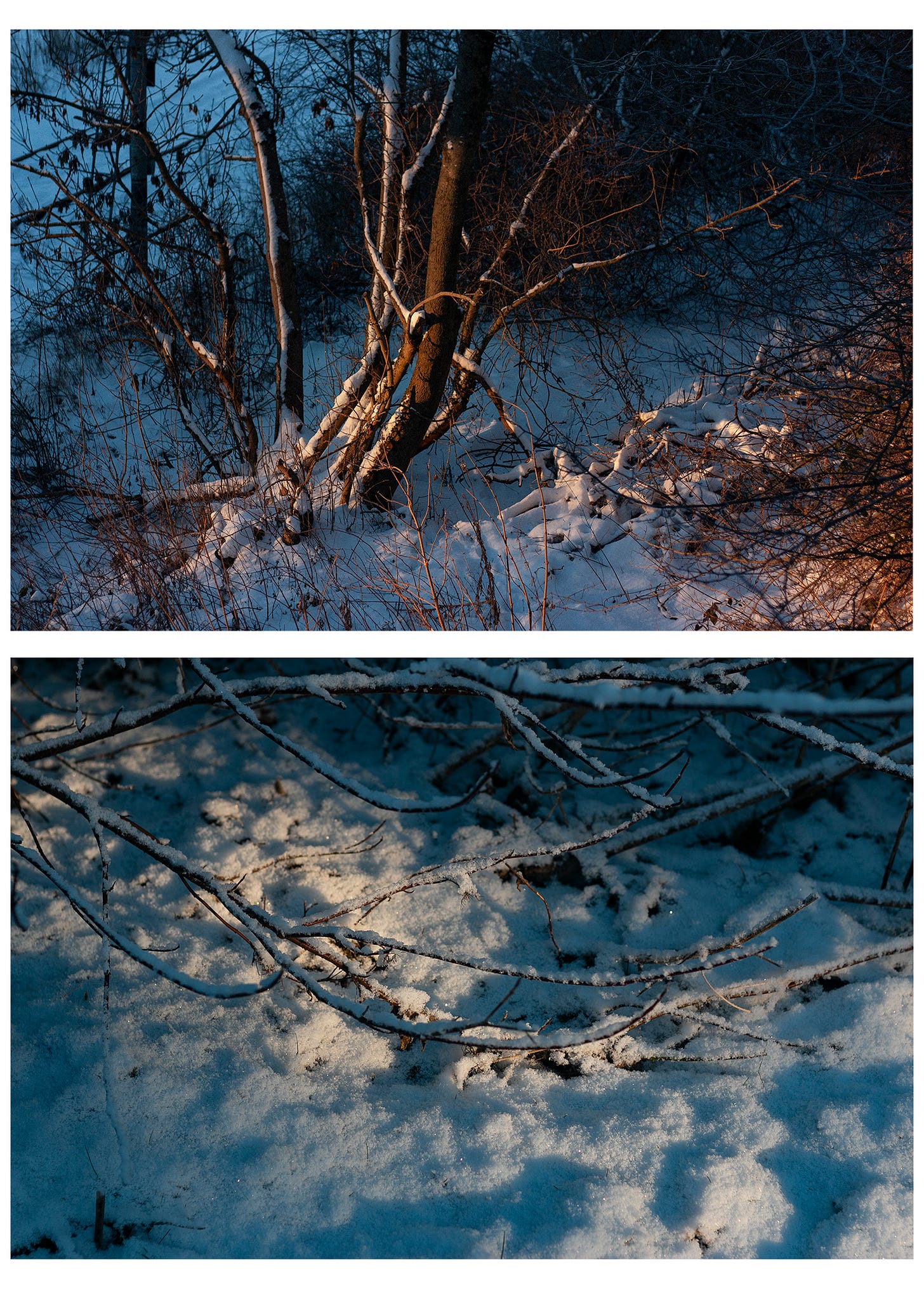 Top photograph is the bottom of a tree, covered in snow and bathed in orange light, the shadows on the snow are a bright blue. Bottom photograph is of a woodland floor, the light is dappling shadows over the snowy ground. 