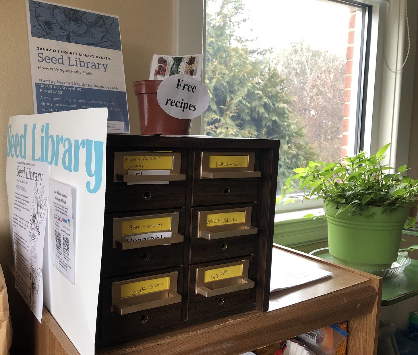 Seed library at the Berea Branch. There is a small card catalog that is now a seed library sitting on top of a table. 