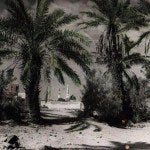 madinah habibah madinah habibah