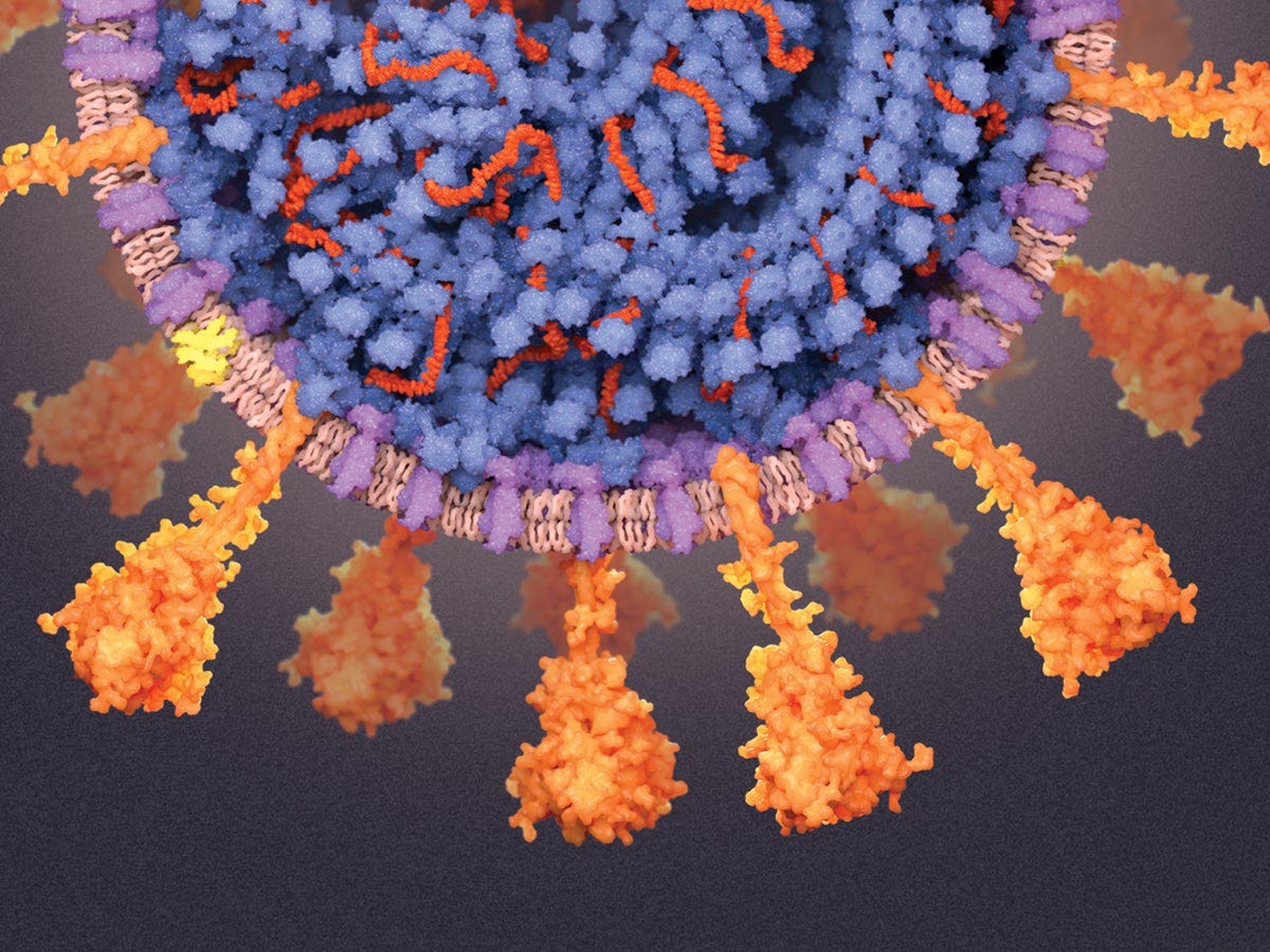 A Visual Guide to the SARS-CoV-2 Coronavirus | Scientific American