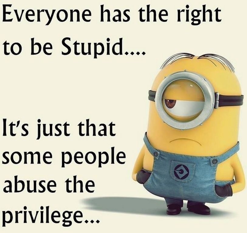 Random Funny minions images with captions (07:06:28 PM, Monday 07, September 2015 PDT) - 10 pics ...