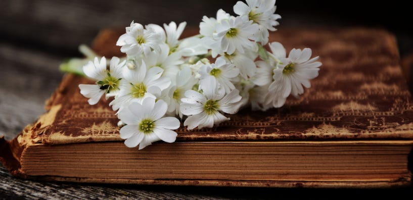 A bunch of white flowers on a book

AI-generated content may be incorrect.