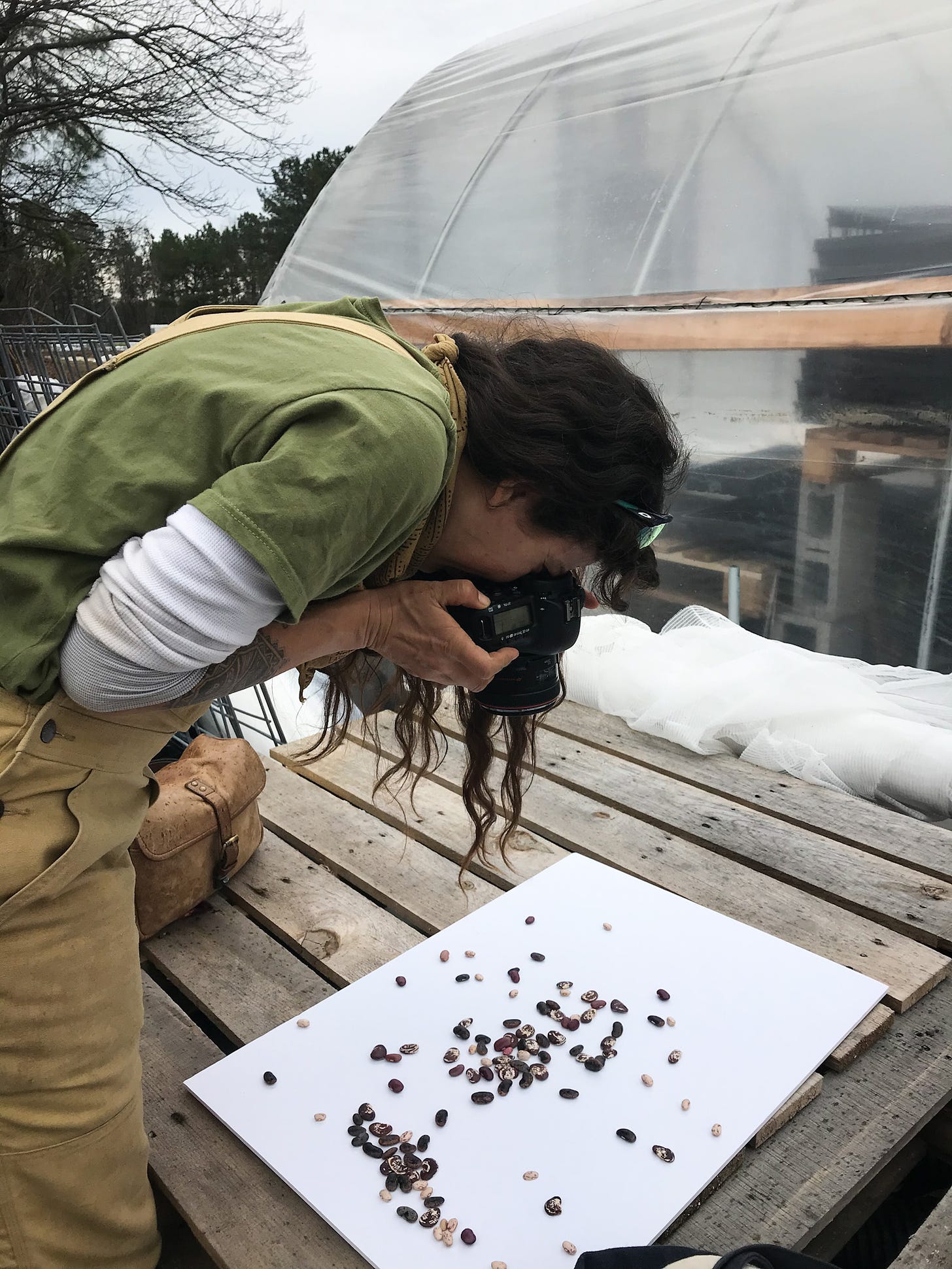 A photo of the photographer ash bent over some beans, taking a photo of them outside at her farm. 