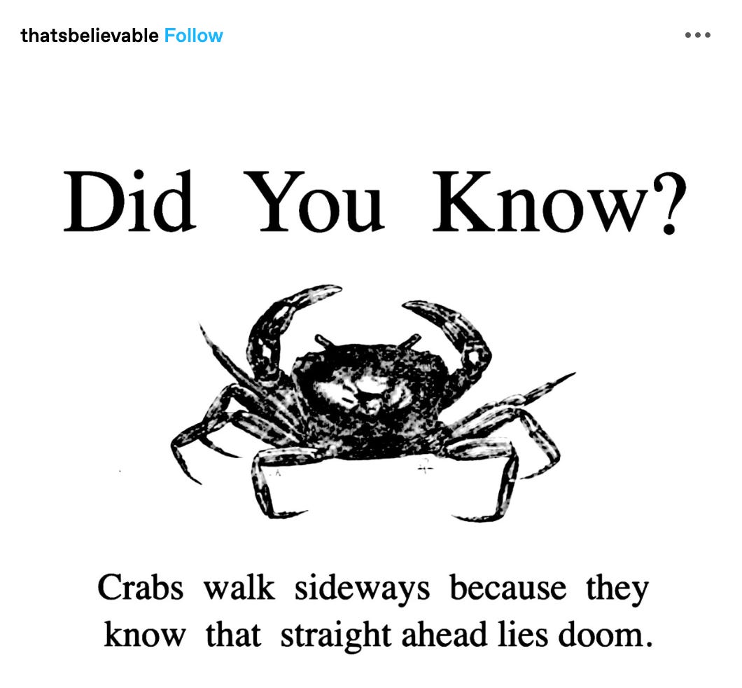 DID YOU KNOW: Crabs walk sideways because they know that straight ahead lies doom.