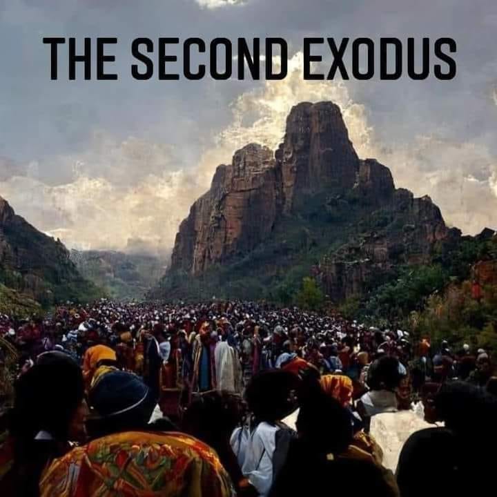 May be an image of text that says "THE SECOND EXODUS"