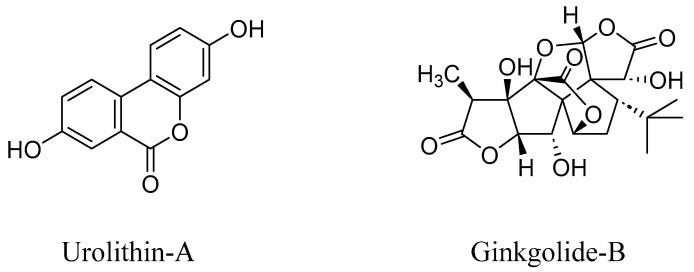 An external file that holds a picture, illustration, etc.
Object name is biomedicines-11-01131-g004.jpg