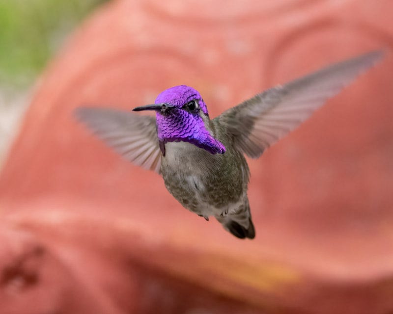 20240408-mby-42-Edit.jpg