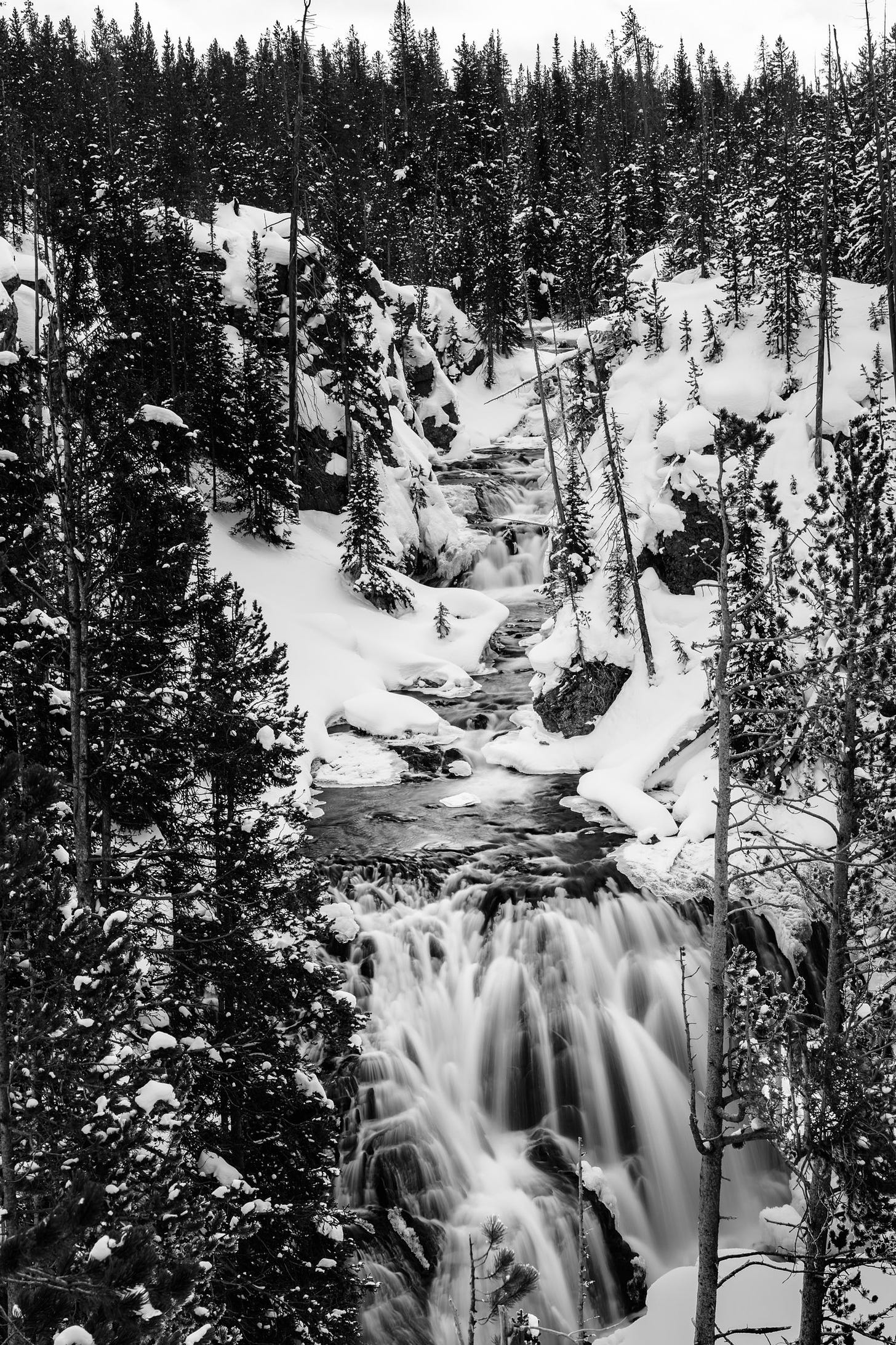 Winter In Yellowstone National Park © Jennifer Carr Photography-9.jpg