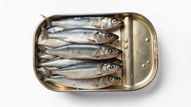 health benefits of sardines