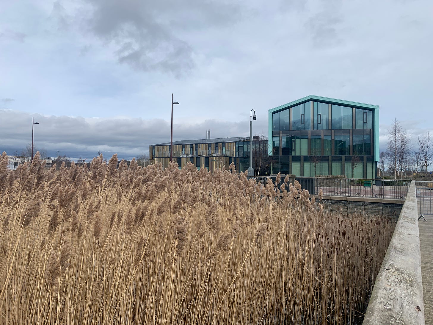 A beautiful copper and turquoise building, with a modern wooden structure to the left of it, viewed from a walkway across reeds and a lake. There's a swan in there somewhere.