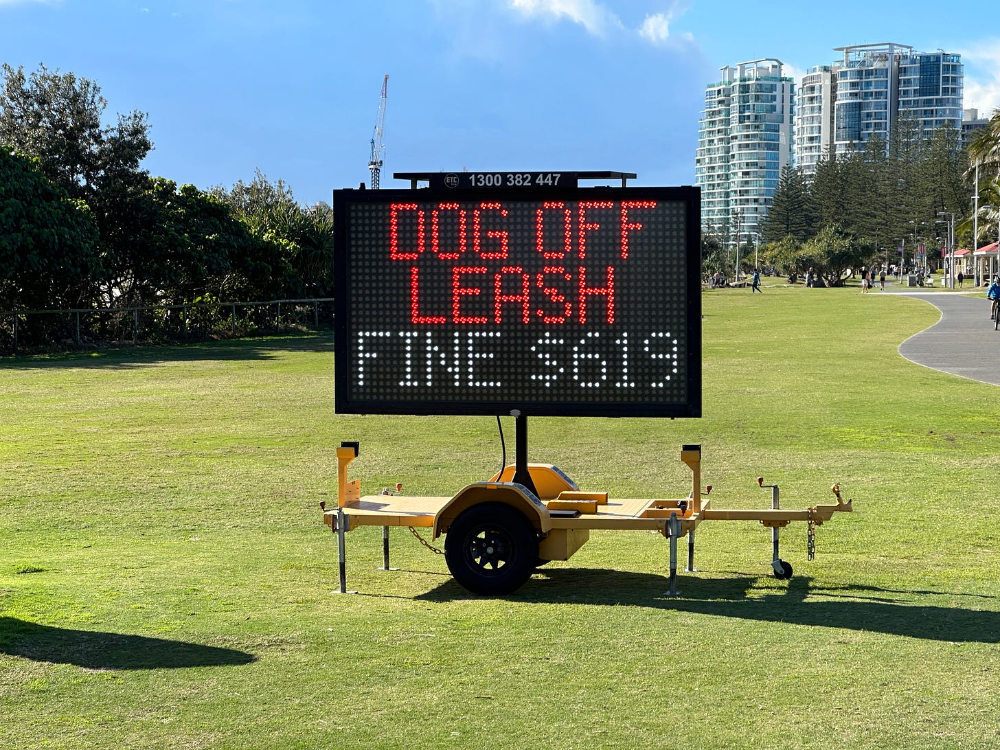 Gold Coast dog fines have significantly increased