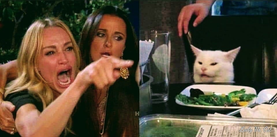 cat vs lady Memes - Imgflip