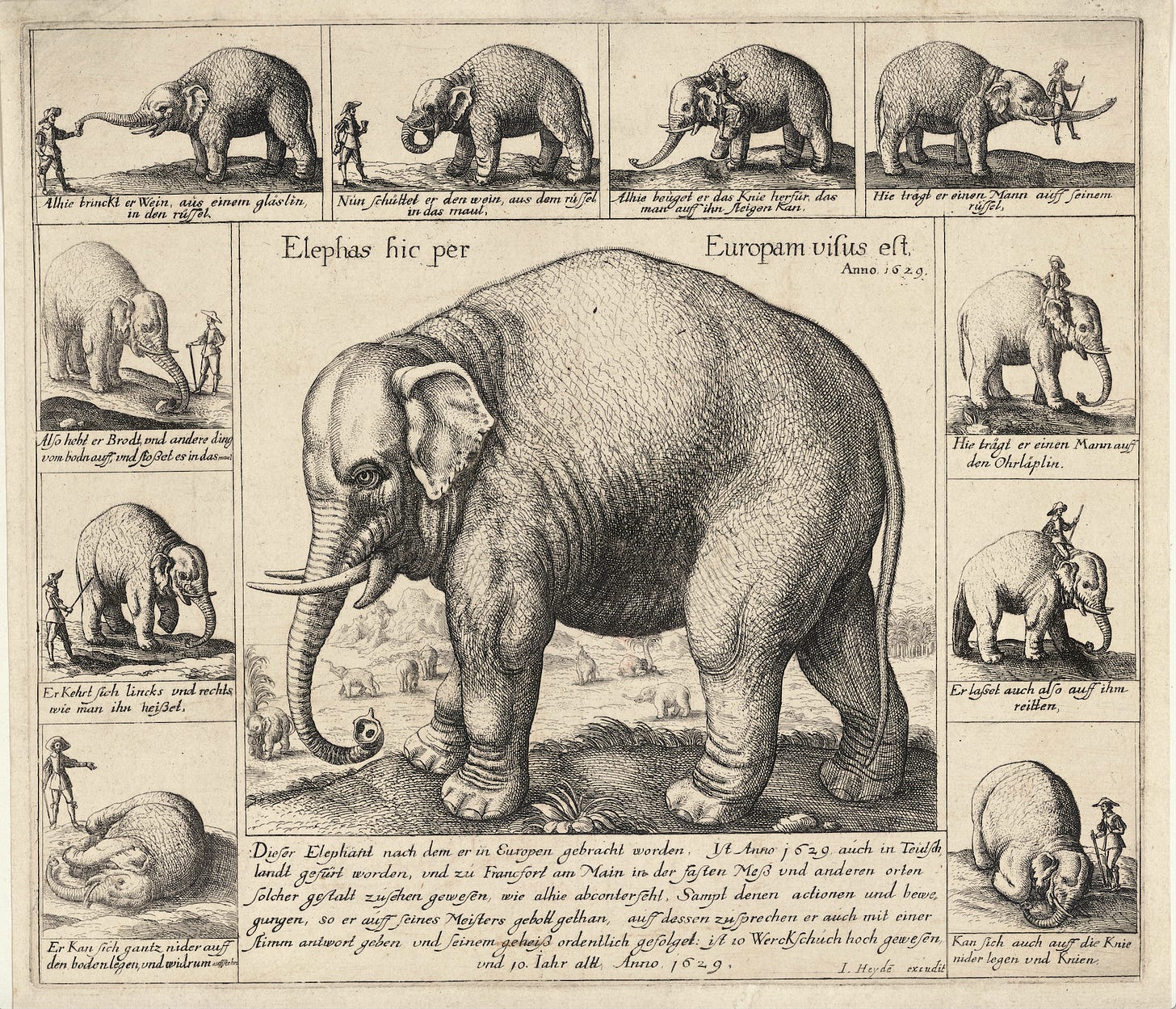 Don Diego performing tricks in Germany in 1629: Wenceslas HollarThe Tame Elephant WikiCommons — https://commons.wikimedia.org/wiki/File:Wenceslas_Hollar_-_The_tame_elephant.jpg