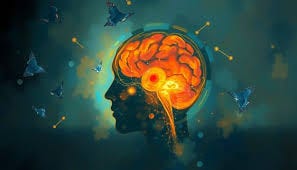 Dissociation Brain Scans: Unveiling ...