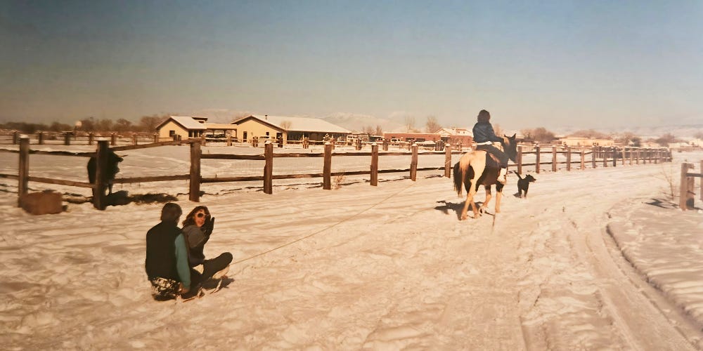 A blanket of snow covers a rural scene. A girl on horseback pulls two others on a sled behind. A black dog leads the way while a cow quietly watches the scene from behind a split rail fence.