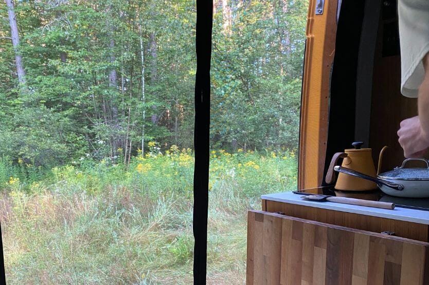 The view out of our converted camper van's side door looking out over tall grass and yellow wildflowers