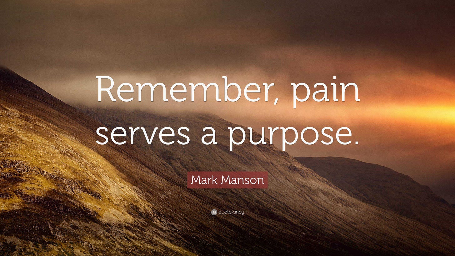 Mark Manson Quote: “Remember, pain serves a purpose.”
