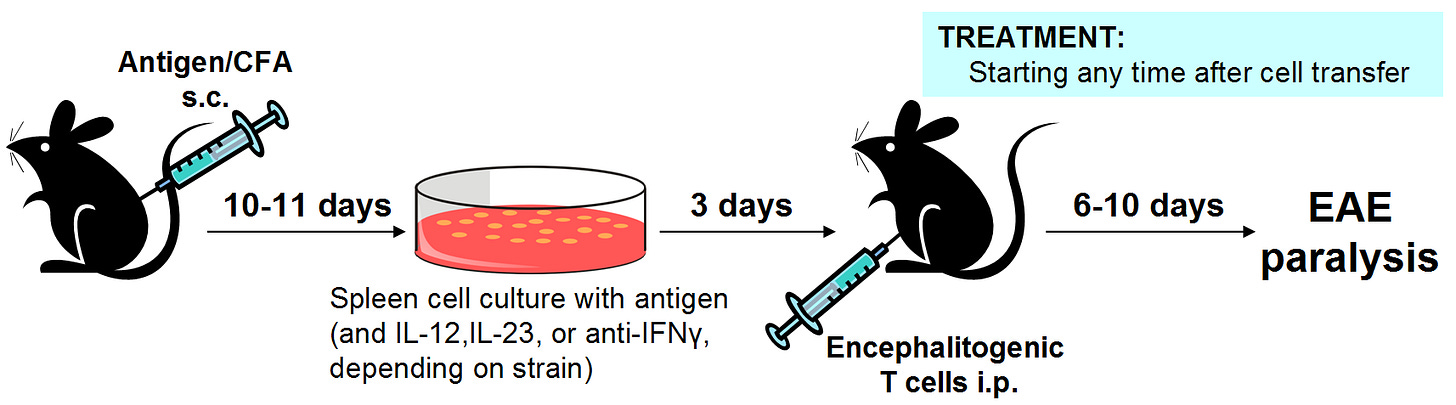 Hooke - Contract Research - EAE - Adoptive Transfer EAE