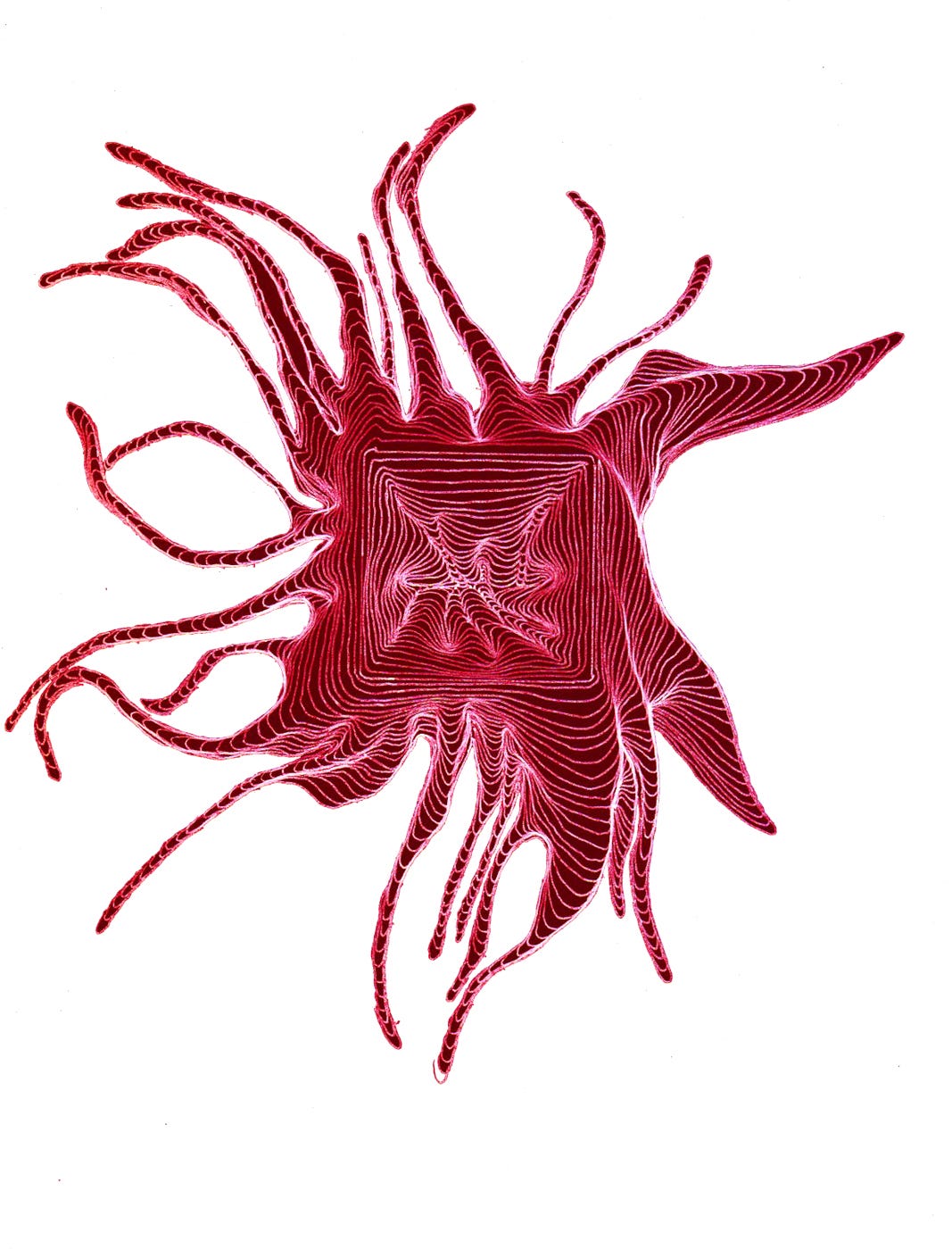 Red amoeba like drawing