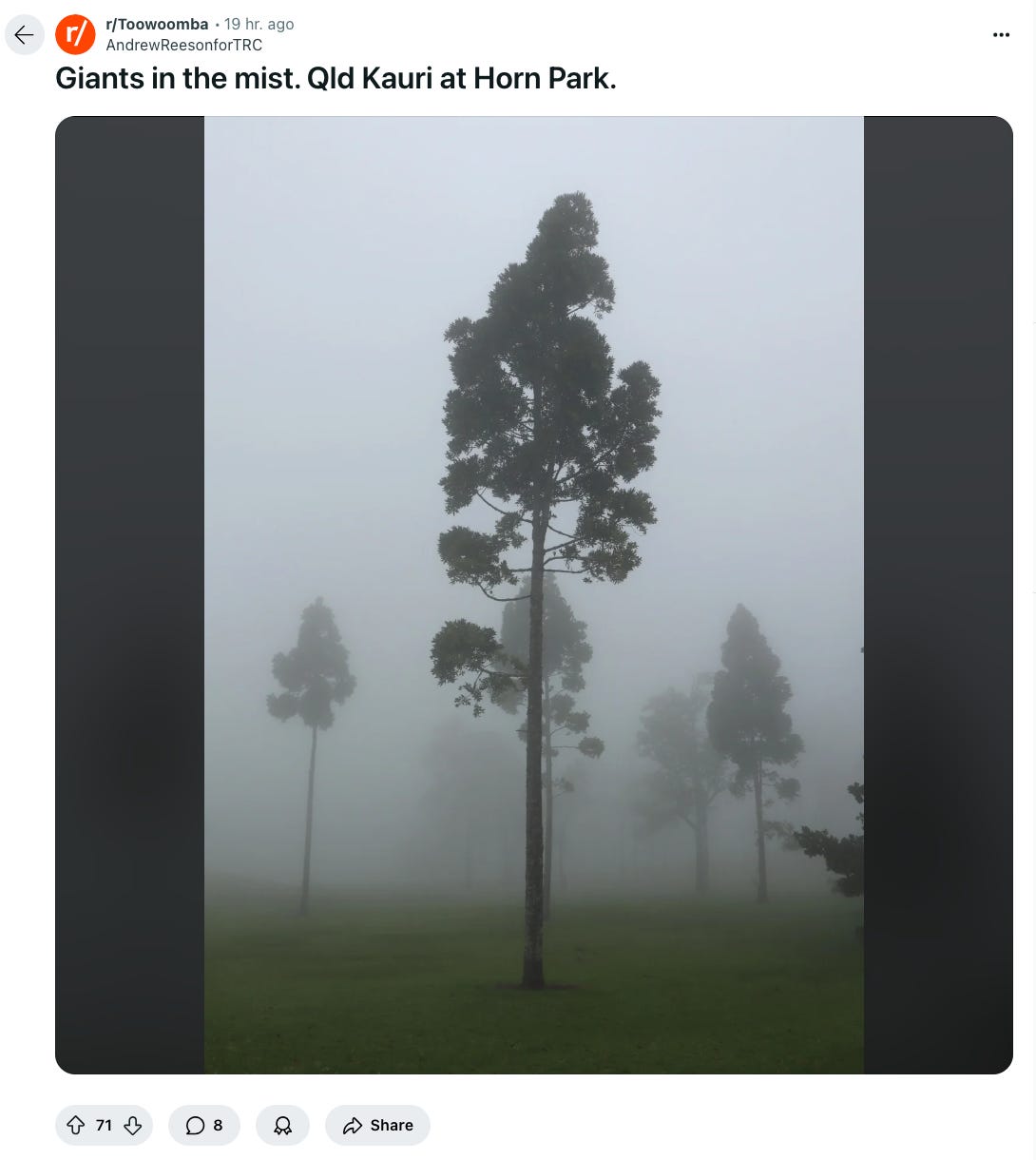 Misty Horn Park