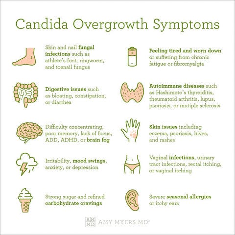 Candida Overgrowth: 10 Signs & the Best Solution – Amy Myers MD