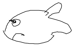 A drawing of a fish, by Terry Freedman