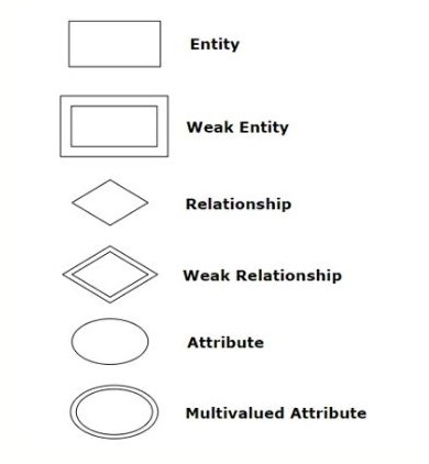 What is an Entity Relationship Diagram and How Do They Work?