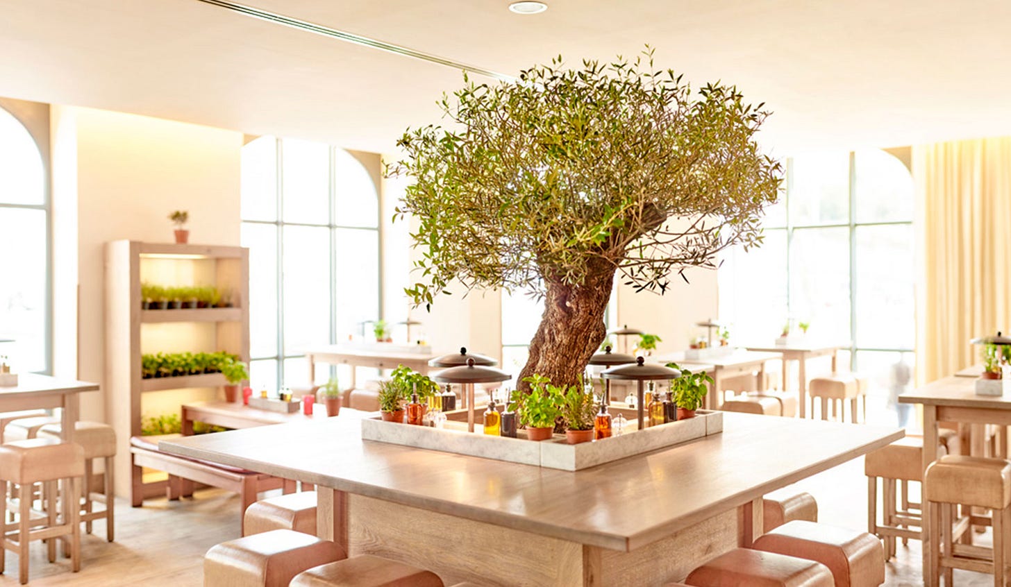 Food & Beverage retail system, Vapiano | Matteo Thun & Partners