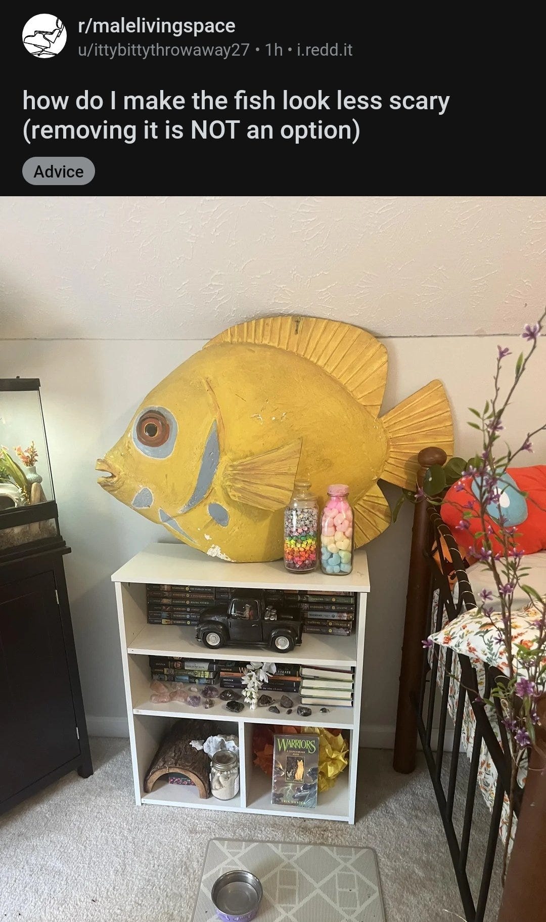 ID: a screenshot of a reddit from male living space about making a large fish less scary 