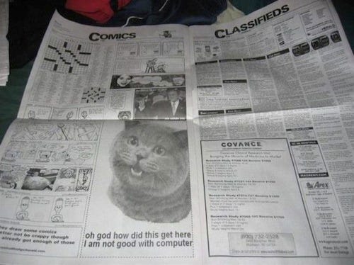 A newspaper has ad space taken up by a picture of Happy Cat with the caption, "oh god how did this get here I am not good with computer"
