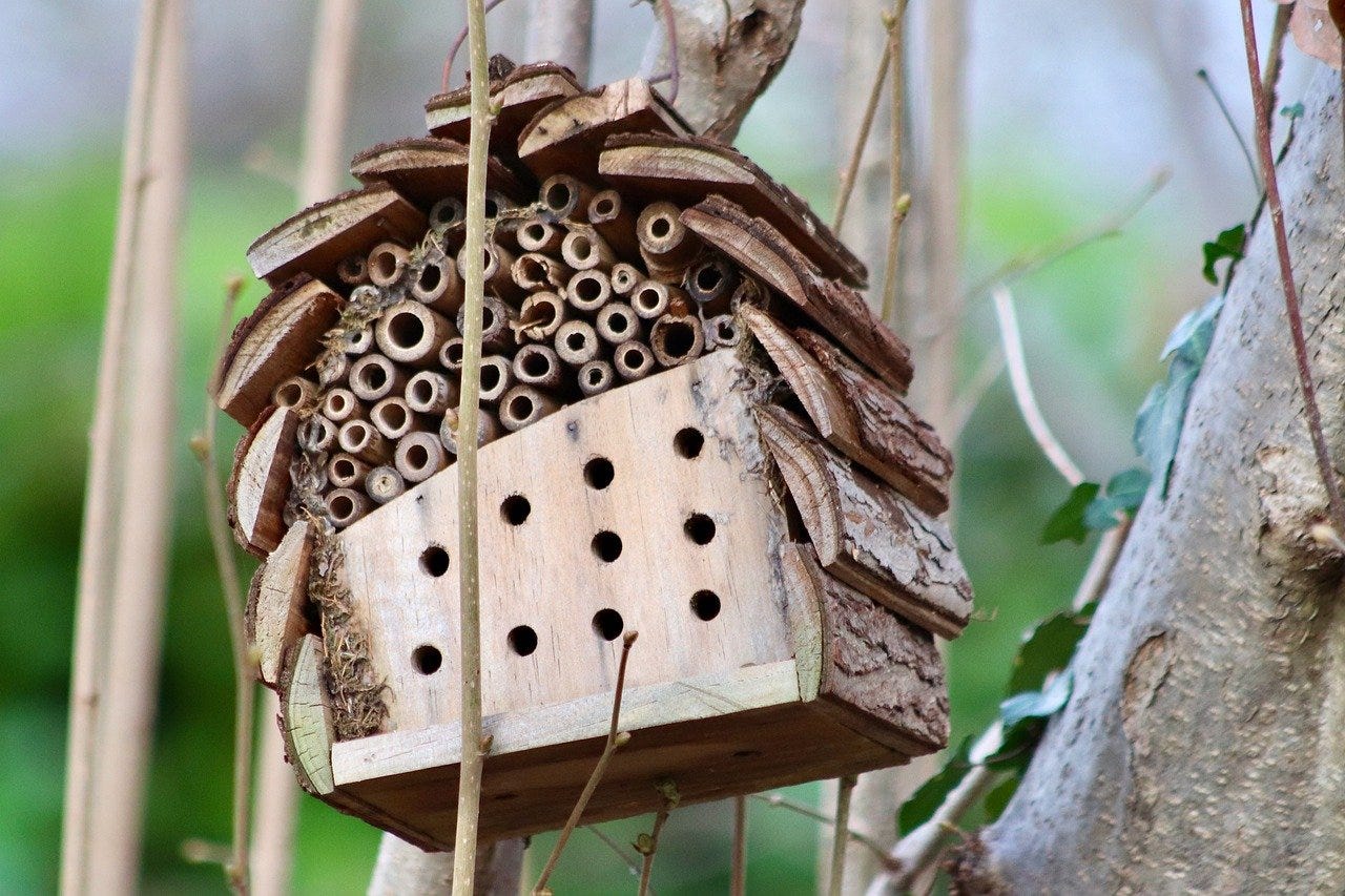 small bee hotel