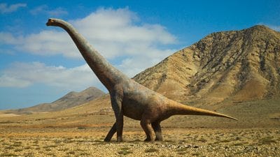 A tailed dinosaur with a long neck stood in front of a rocky mountain on a semi-arid plain. The sky is blue with a few clouds.