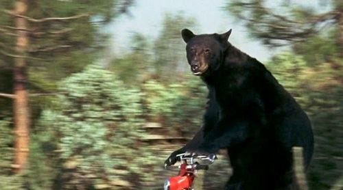 bear riding a moped in Howard Hawk's "Man's Favorite Sport?" ( 1964 ) -  Silver Scenes - A Blog for Classic Film Lovers | Howard hawks, Woman  singing, Man