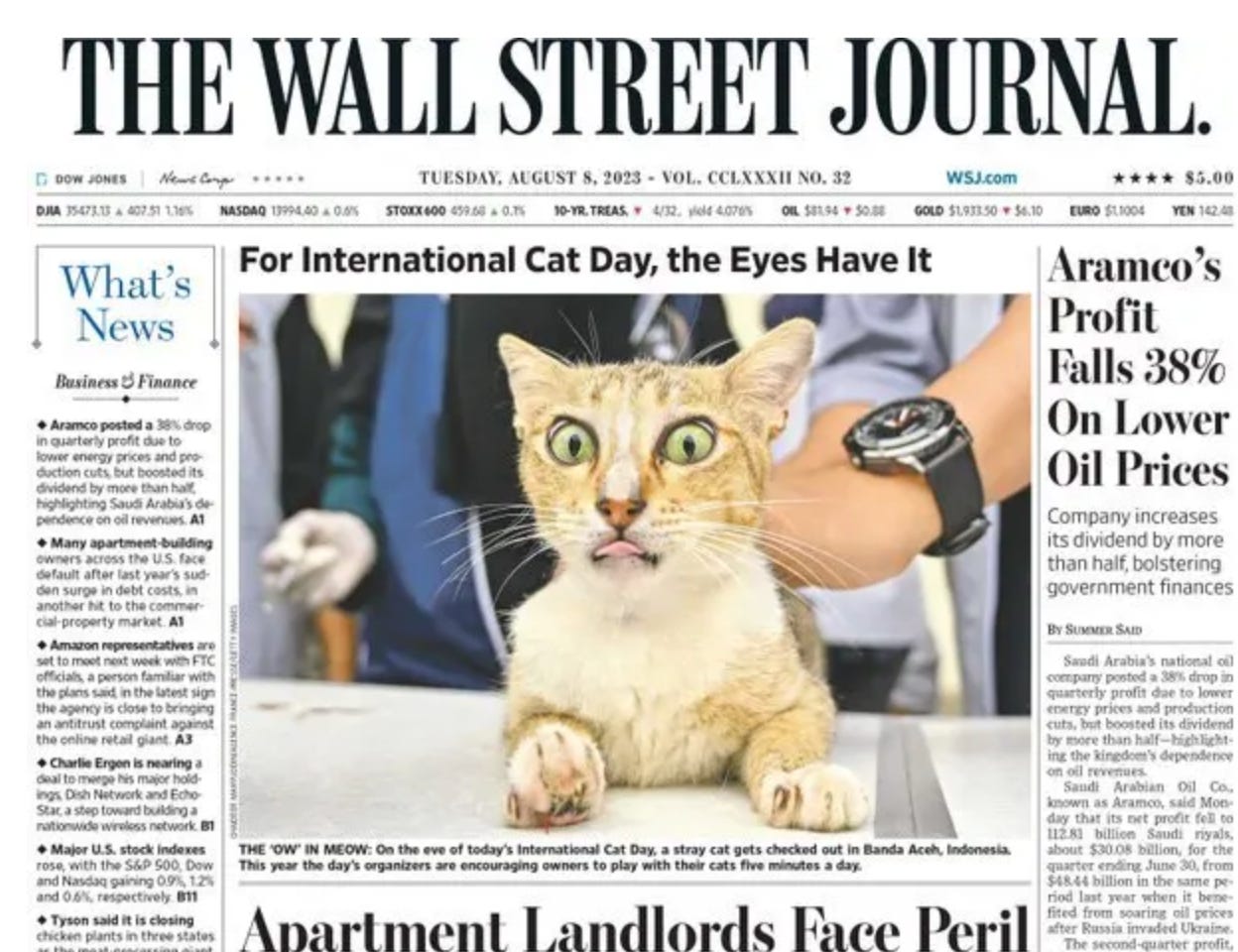 Front page of Wall Street Journal with a large photo of a cute cat