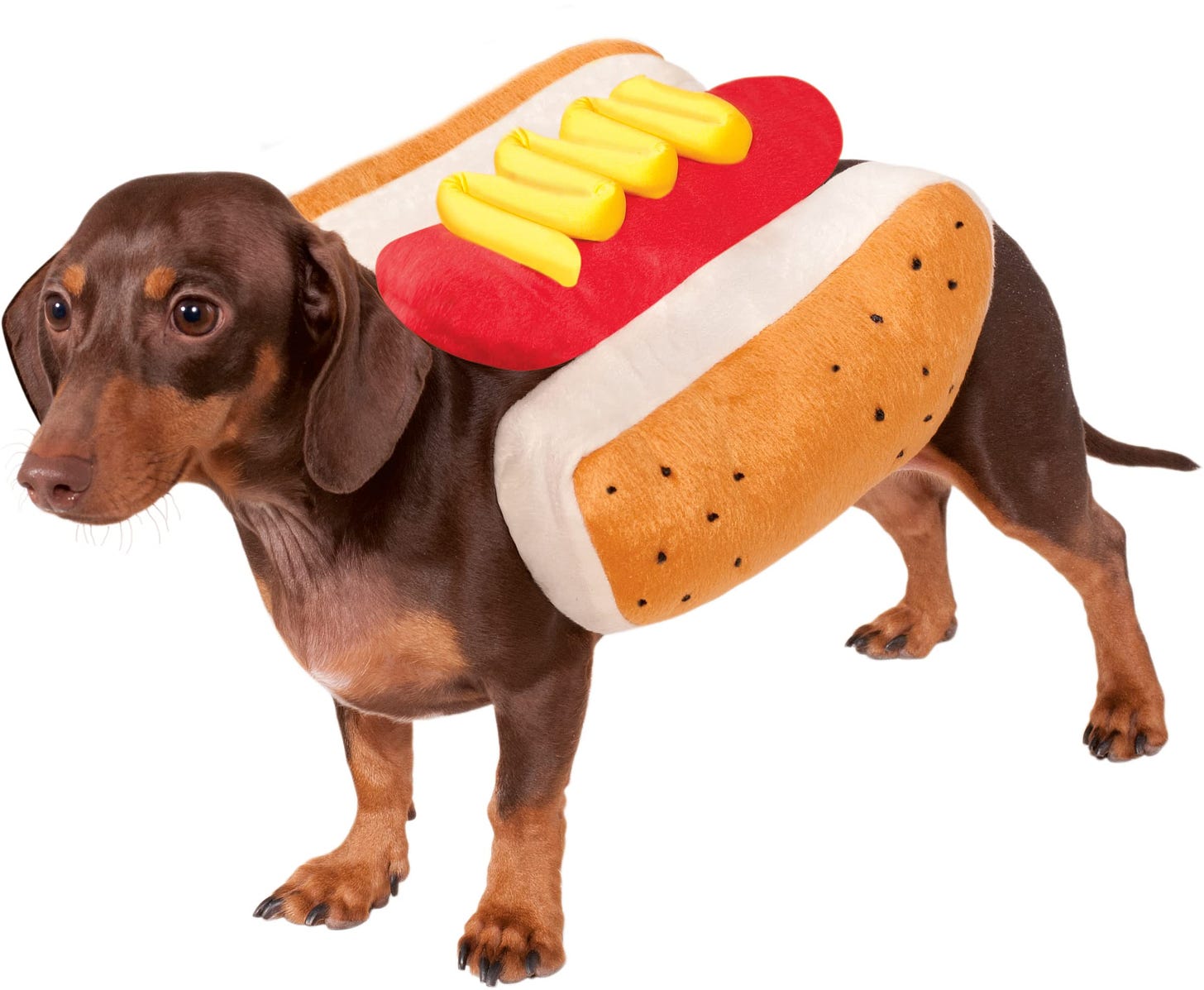Amazon.com: Rubie's Hot Dog Pet Costume, Small : Pet Supplies