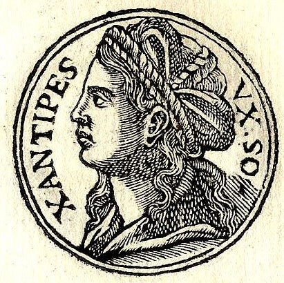 A profile of a woman on an illustration of a coin. Xantipes is written around the edge of the coin.
